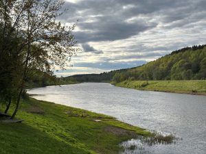 аренда коттеджи Звизжи отзывы Калужская область