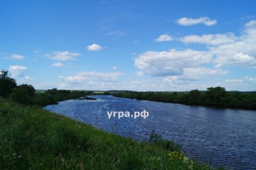 Покупка дома, участка в деревне Давыдово на реке Угре