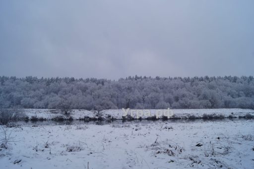 Куплю дачу в деревне Лука в Угре