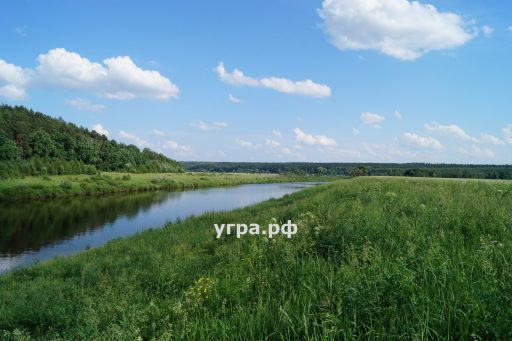 Дома в деревне Базулино на Угре