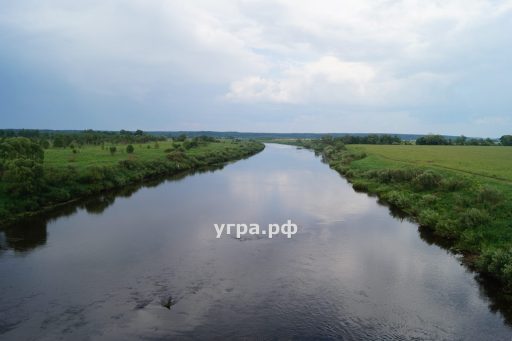 Купить дом и участок в деревне Новоскаковское река Угра