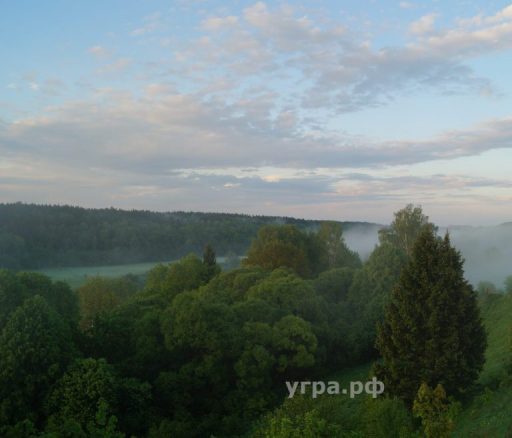 Купить дом и участок в деревне Понизовье речка Угра