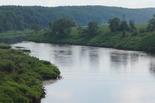 Куплю дачу в деревне Звизжи на Угре