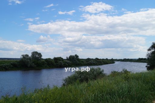 Куплю дачу в деревне Спасское на реке Угре