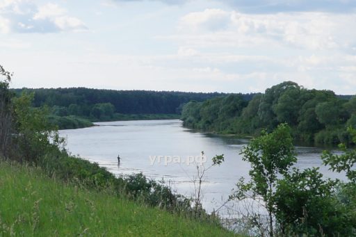 Покупка дома, участка в деревне Вознесенье на реке Угре