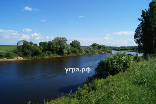 Купить домик в деревне Федотково на реке Угре