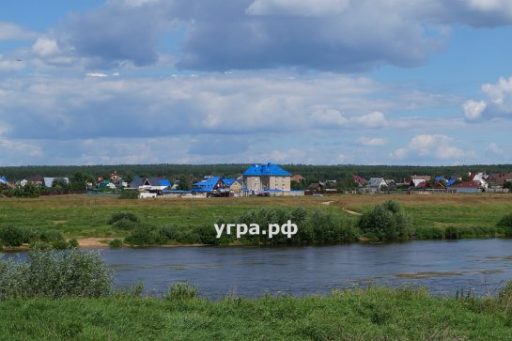 Куплю дом в деревне Шипуны у реки Угра