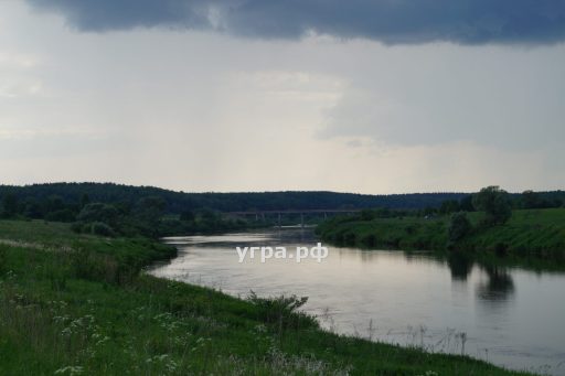 Куплю дачу в деревне Свинухово в Угре