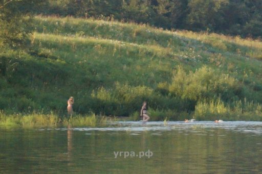 Покупка дома, участка в деревне Батино речка Угра