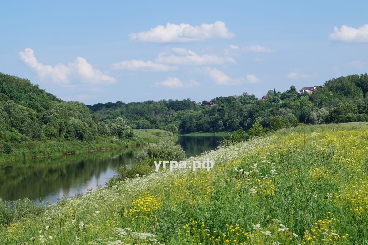 деревня Матово летние фото река Угра