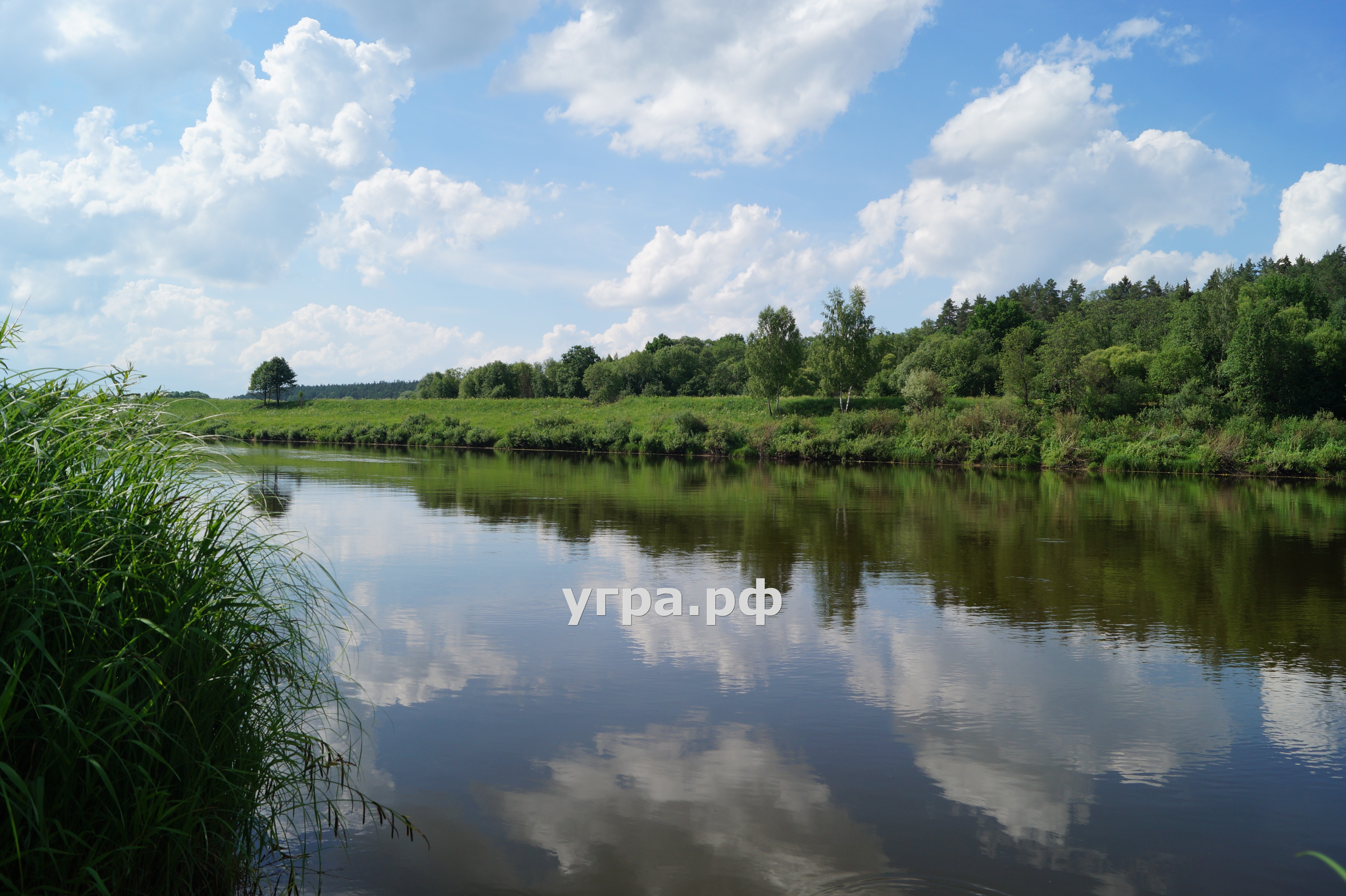 река Угра деревушка Миленки