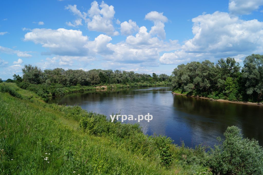 Фото река Угра район Дворцы