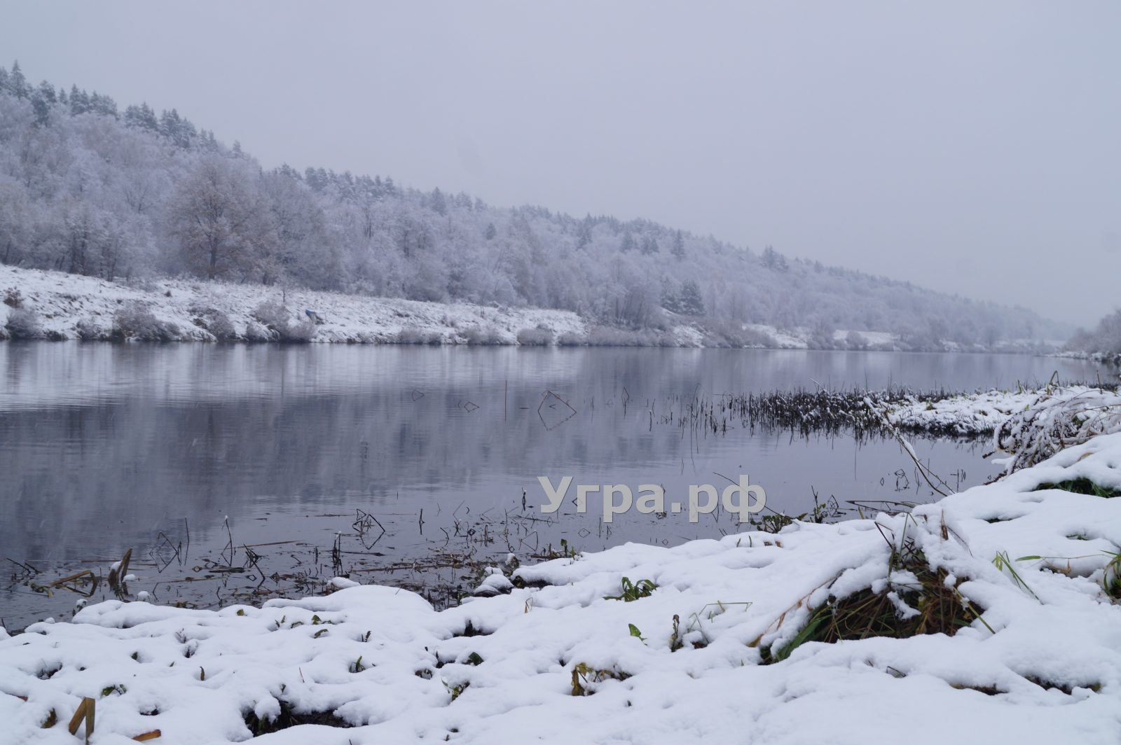 Река Угра фото первый снег Калужская недвижимость