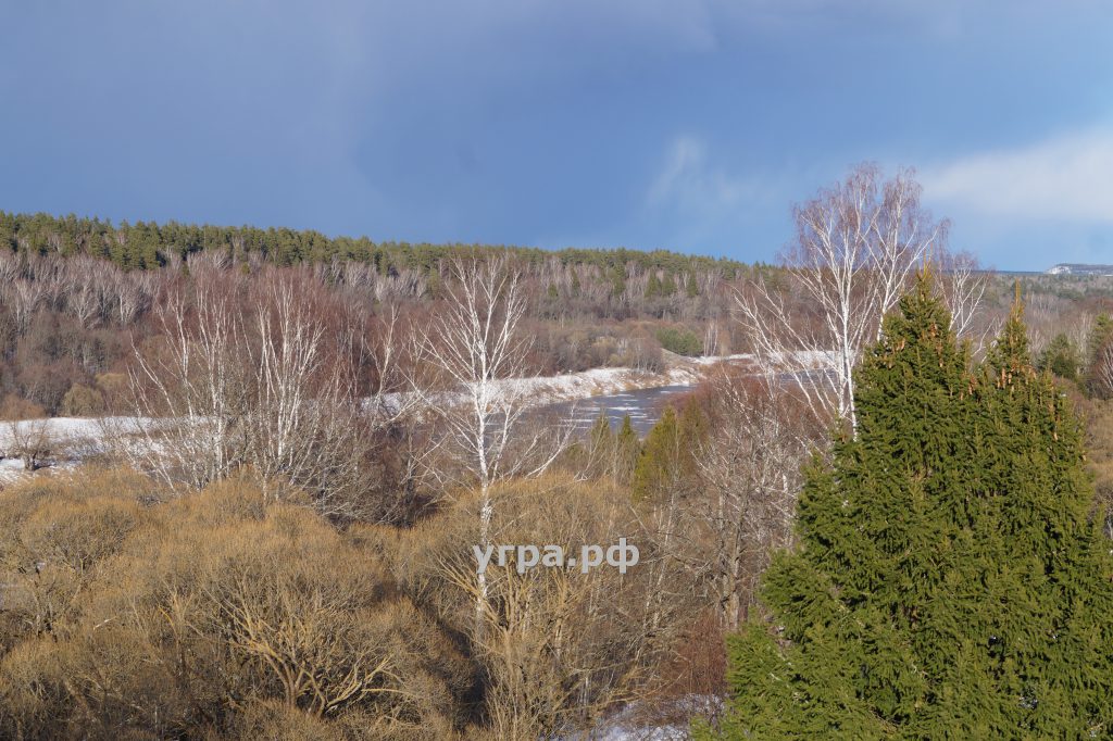 река Угра деревня Матово весенние фото