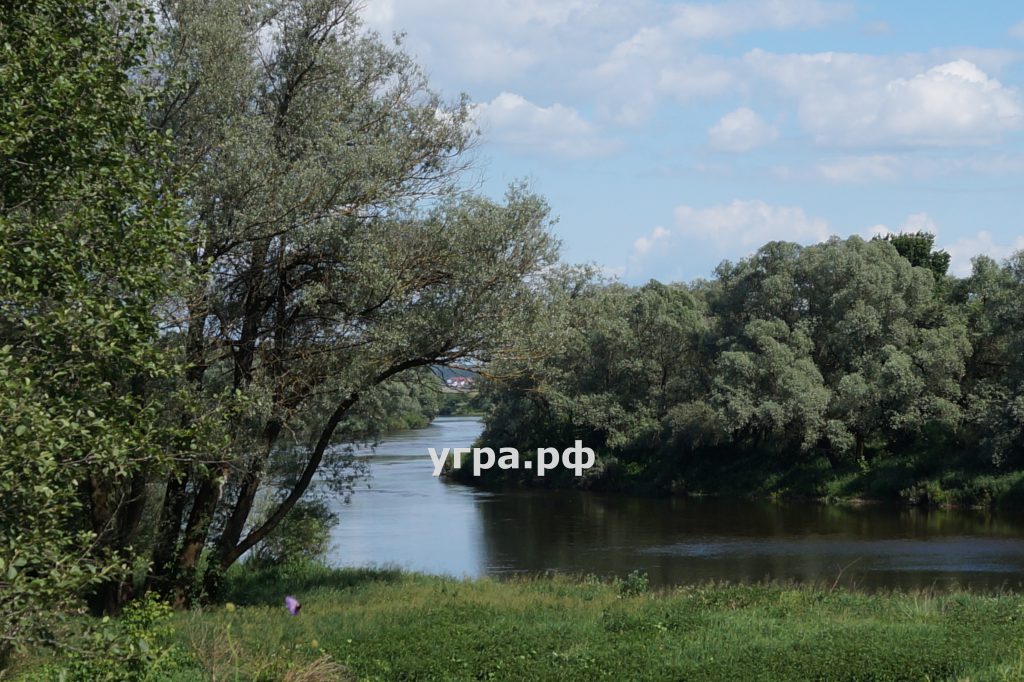 Фото берег реки Угра деревня Свинухово