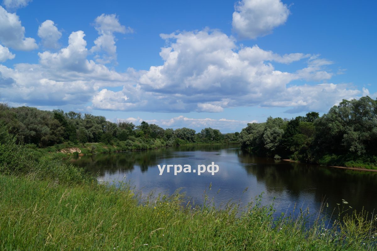 Деревня Новоскаковское река Угра летние фото