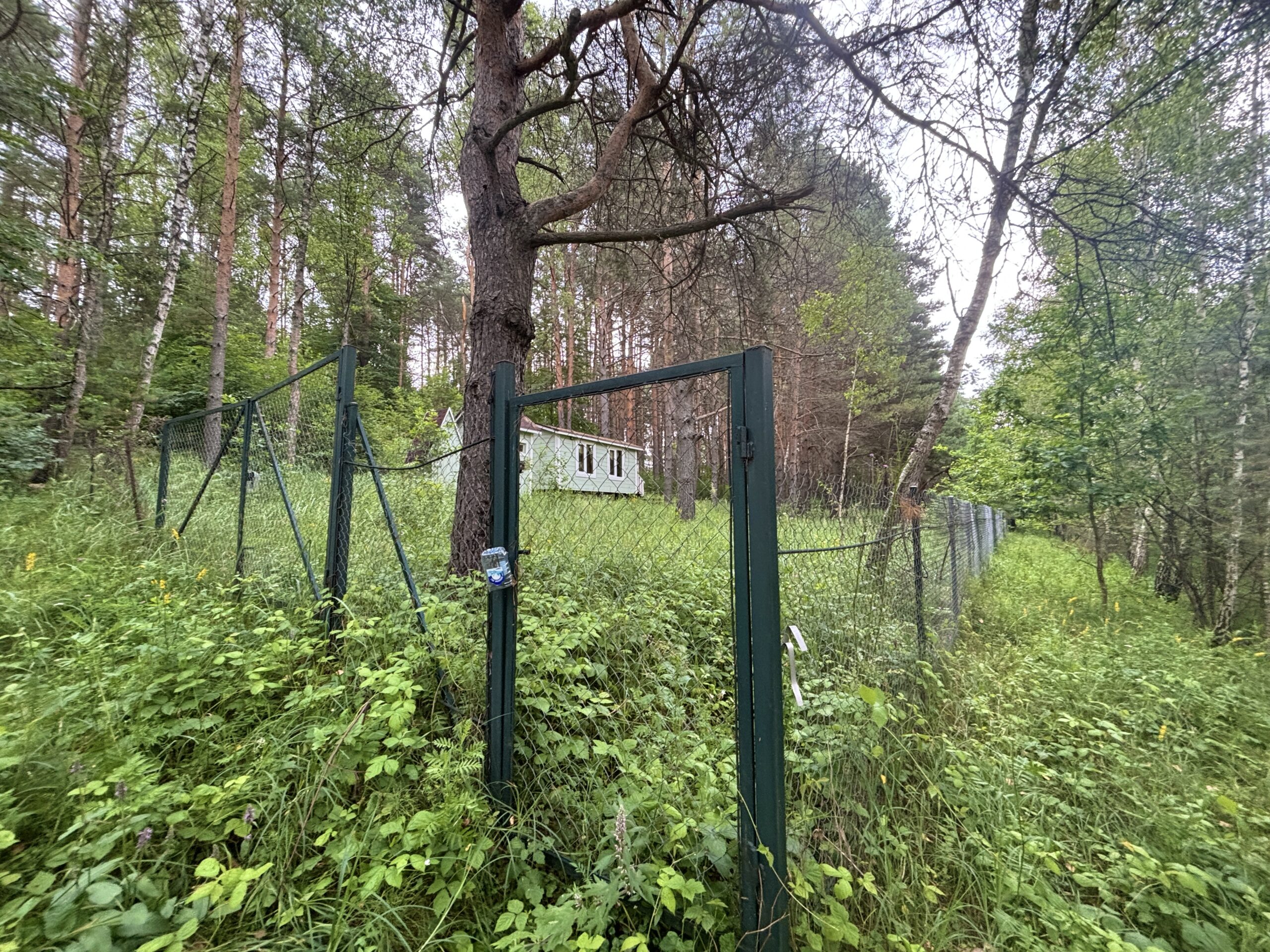 Срочно пора купить участок в лесу в Калужской области на сайте Угра.рф