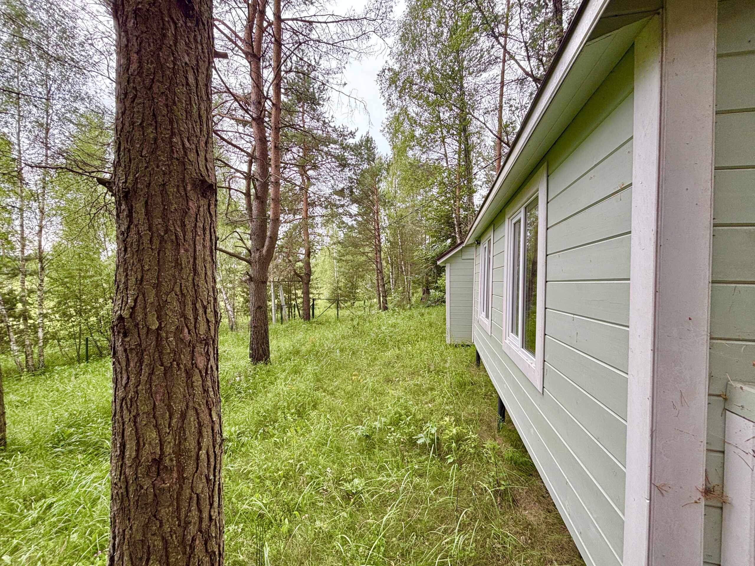 Срочно пора купить участок в лесу в Калужской области фото 89208858888